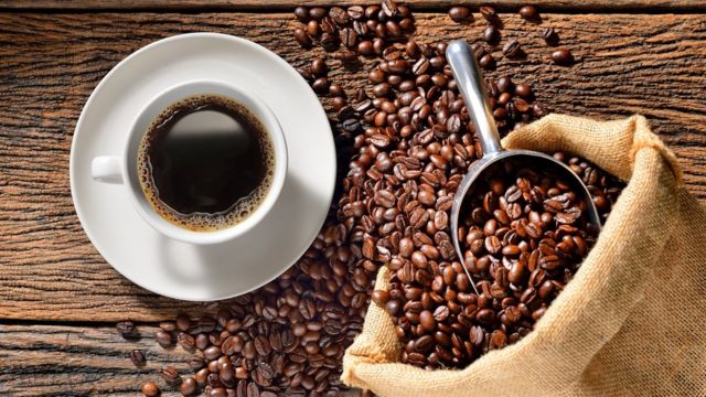Discover the World of Coffee through Sampling and Cupping at The Coffee Oasis